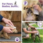 Alcohol free dog grooming wipes with aloe vera ingredients