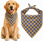 Back view of dog with blue plaid cotton bandana tied