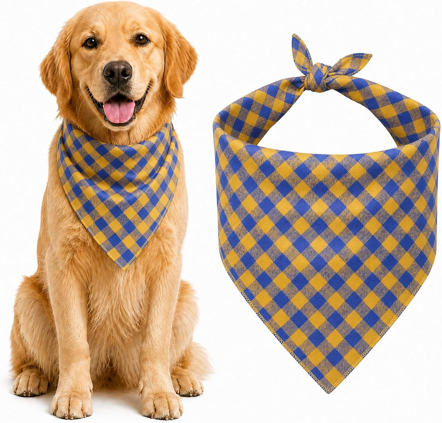 Back view of dog with blue plaid cotton bandana tied