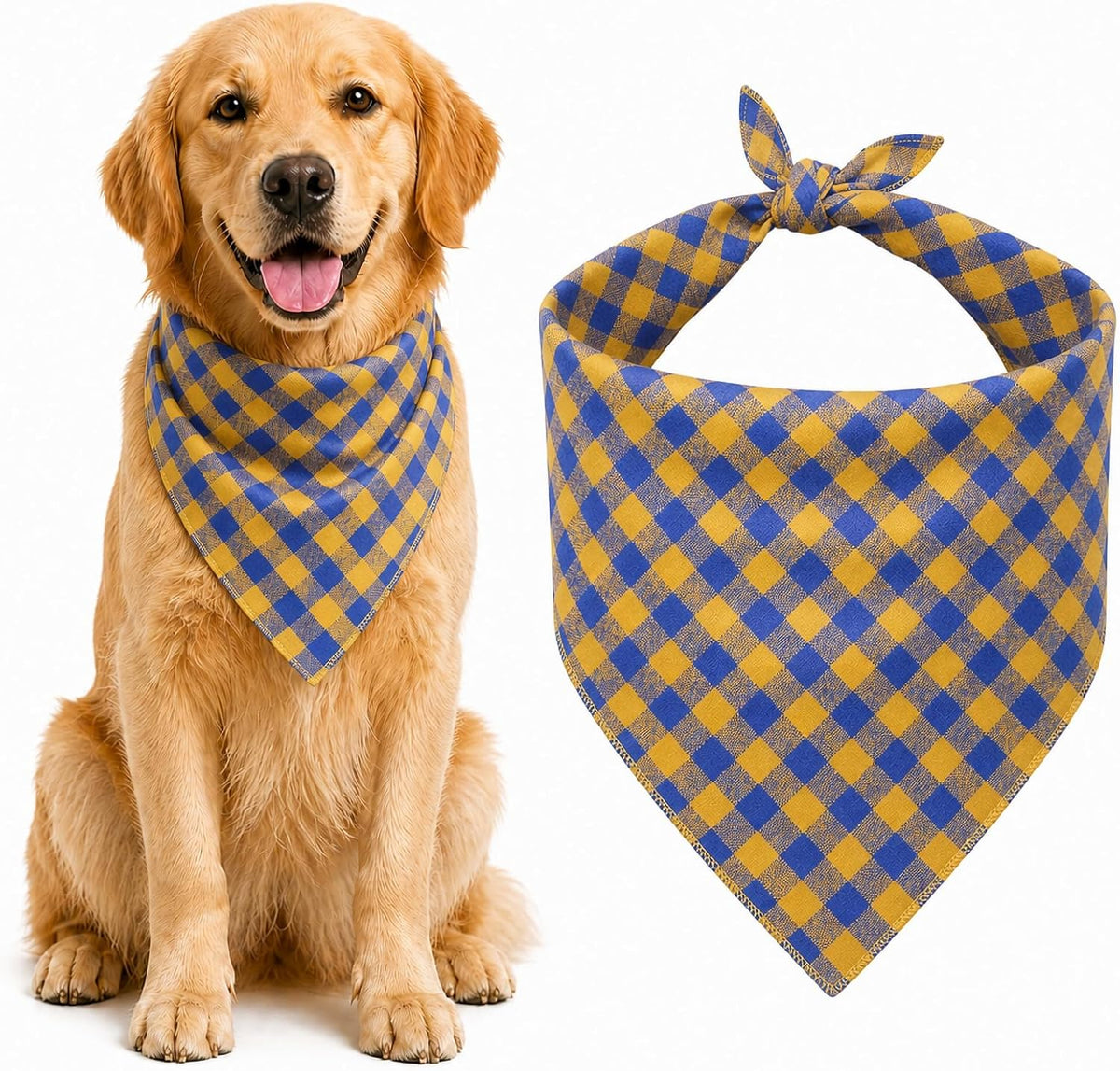 Back view of dog with blue plaid cotton bandana tied