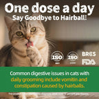 Crunchy catnip training biscuits for indoor cats dental health
