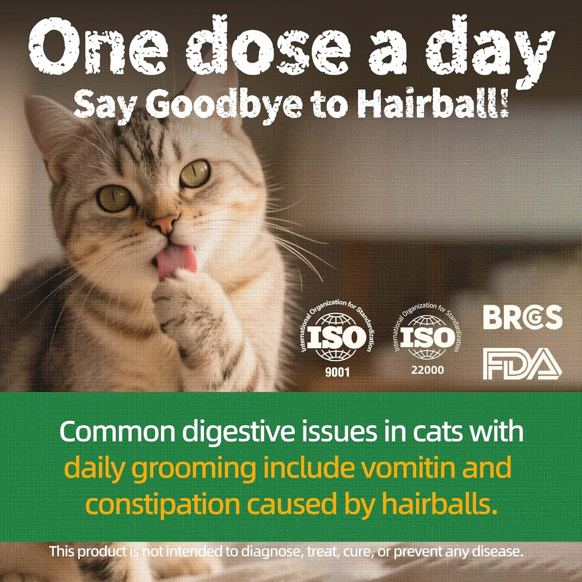 Crunchy catnip training biscuits for indoor cats dental health