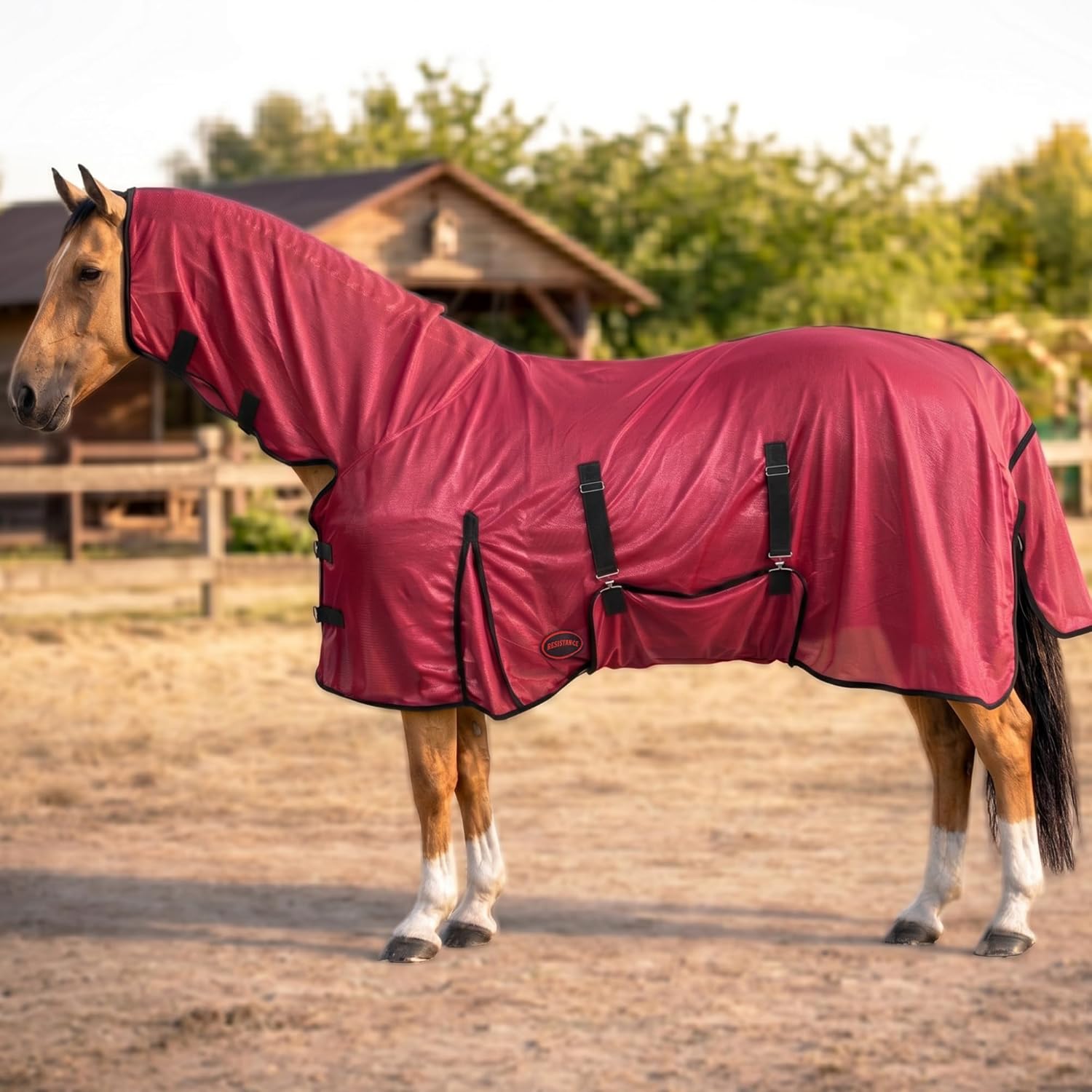 RESISTANCE Horse Fly Sheet with Neck Cover & Belly Wrap, Lightweight Breathable UV Protection Fly Sheet for Horses, Silver, Sizes 68"- 82" (Turquoise, 80") - Image 13