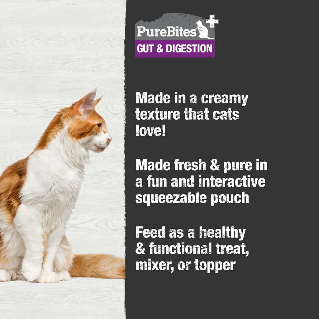 PureBites pure chicken and pumpkin squeezable feline treat texture view