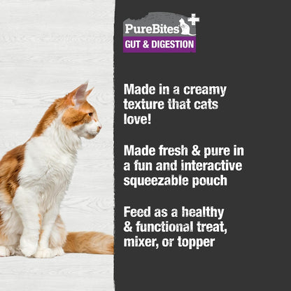 PureBites pure chicken and pumpkin squeezable feline treat texture view