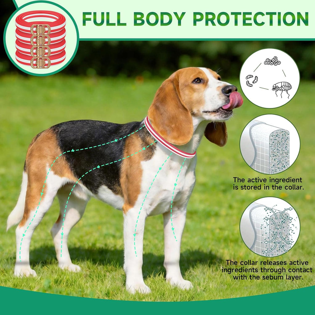 Authentic USA imported dog pest prevention collar