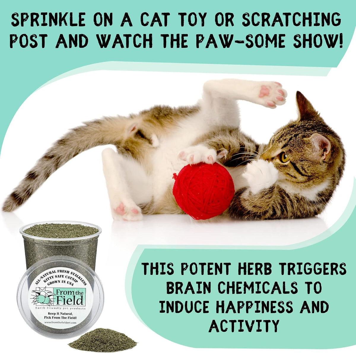 Cat interacting happily with From The Field catnip sprinkled on floor