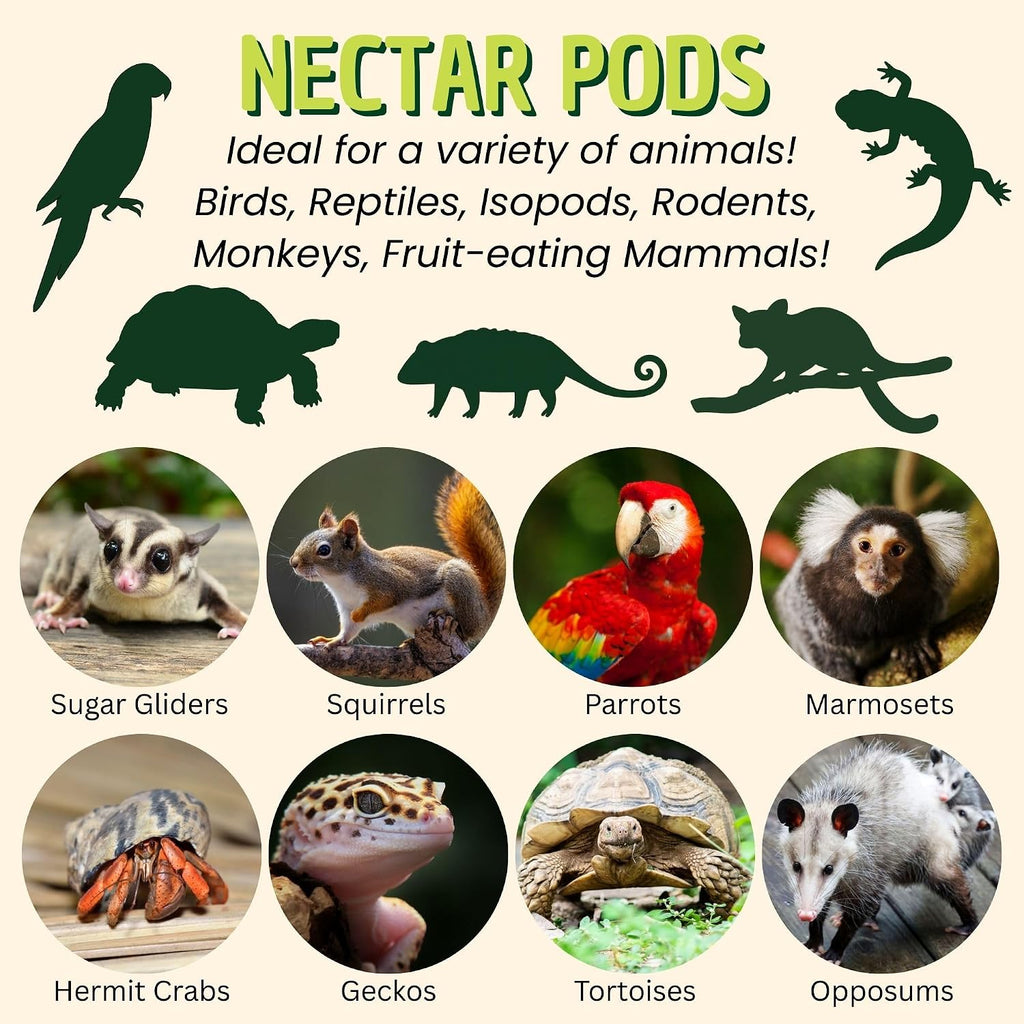 Exotic Nutrition Nectar Pods Honey opened pod texture