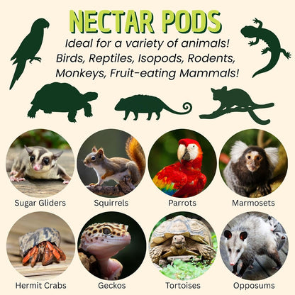 Exotic Nutrition Nectar Pods 8 pack individual portion display