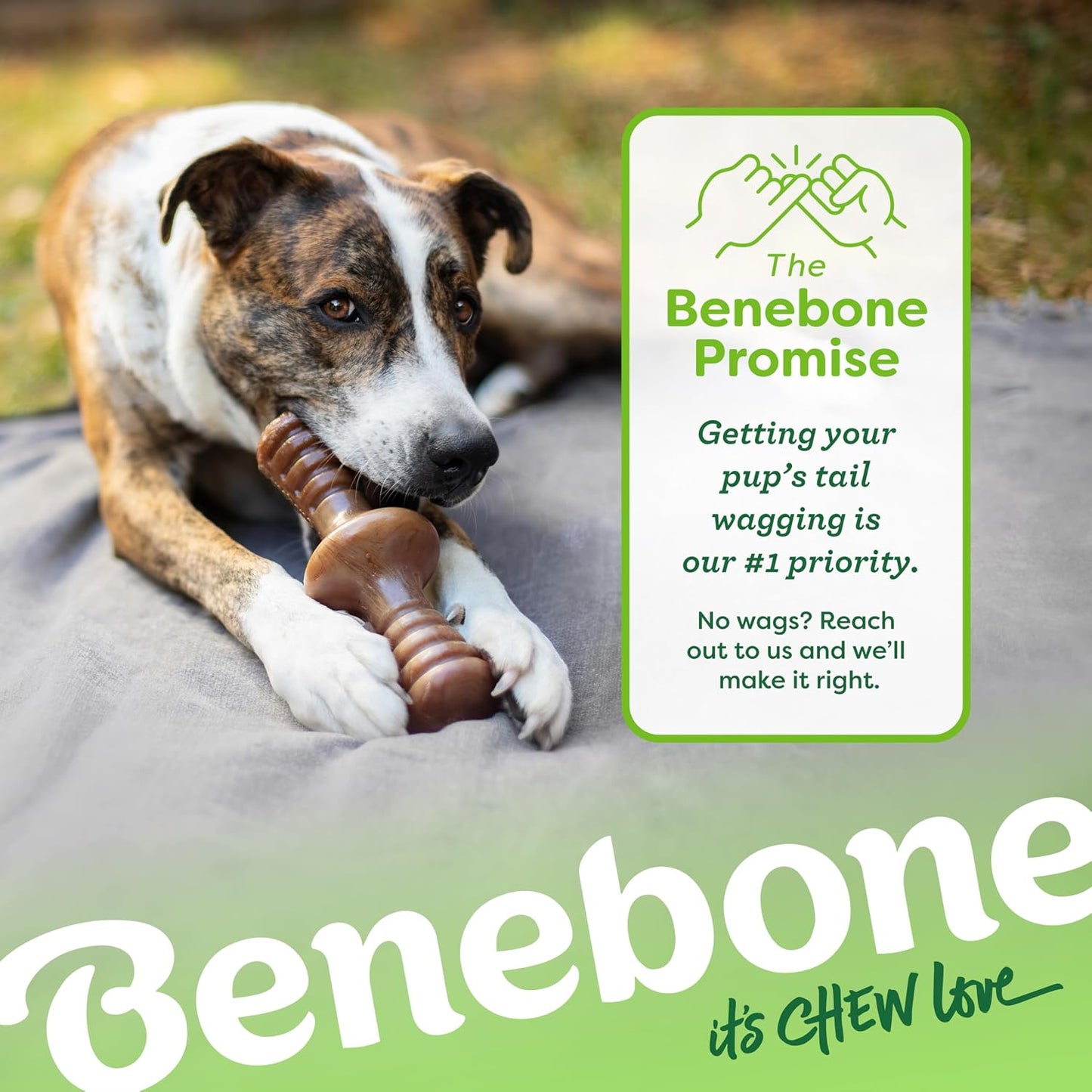 Benebone Zaggler Rolling Dog Chew Toy for Aggressive Chewers, Real Bacon, Made in USA, Medium - Image 6