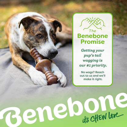 Benebone Zaggler Rolling Dog Chew Toy for Aggressive Chewers, Real Bacon, Made in USA, Medium - Image 6