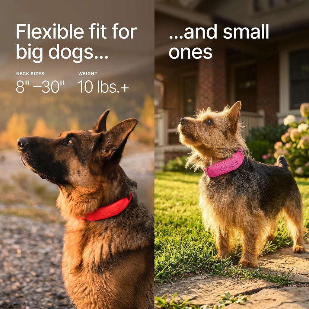 Close up view of the orchid color waterproof smart dog fence tracker.