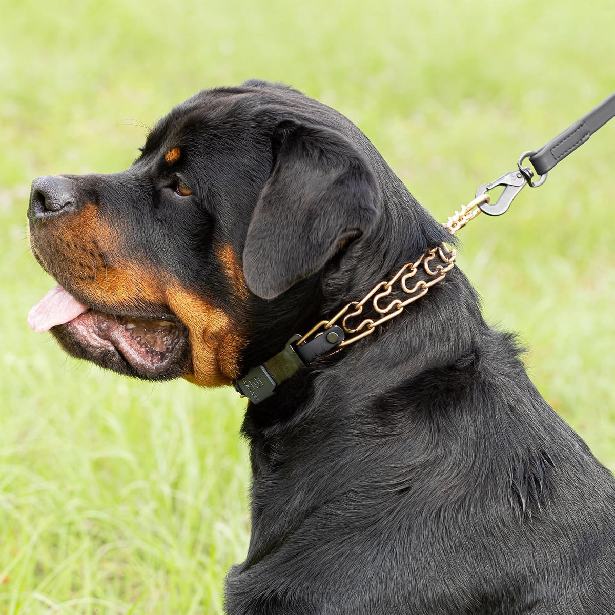Side angle of the nickel-free Curogan canine collar highlighting its premium anti-staining qualities