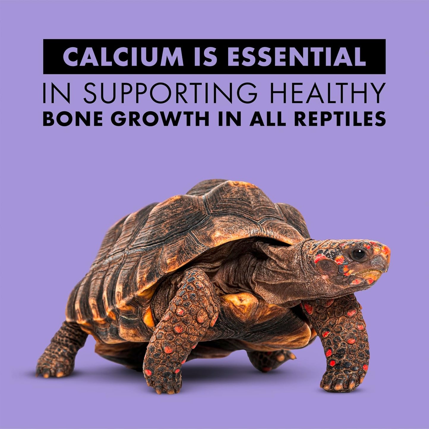 Zilla calcium spray for bearded dragons and geckos