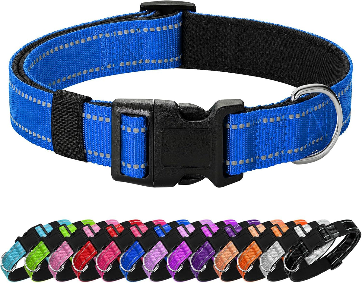 Purple dog collar with reflective safety threads