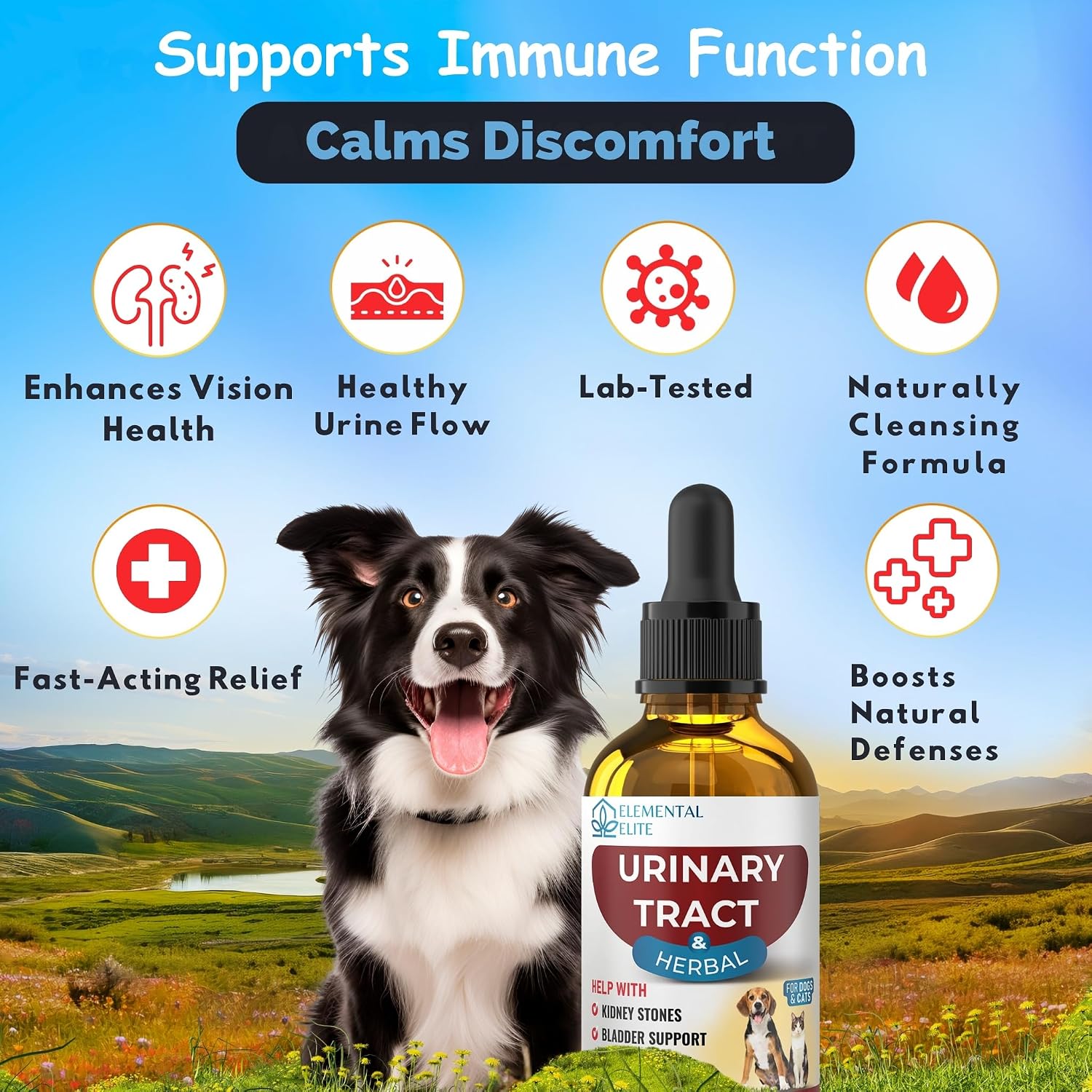 Natural cranberry extract pet supplement bottle with dropper application visual