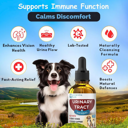 Natural cranberry extract pet supplement bottle with dropper application visual