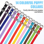 Different color options of the HOFURME identification collars for small and medium breed dogs
