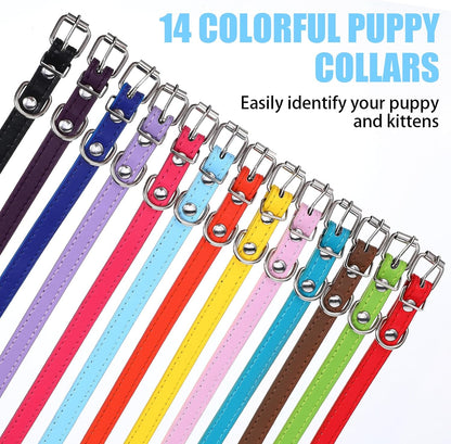 Different color options of the HOFURME identification collars for small and medium breed dogs