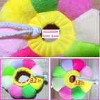 Adjustable extra small donut collar for small animals like guinea pigs and kittens.