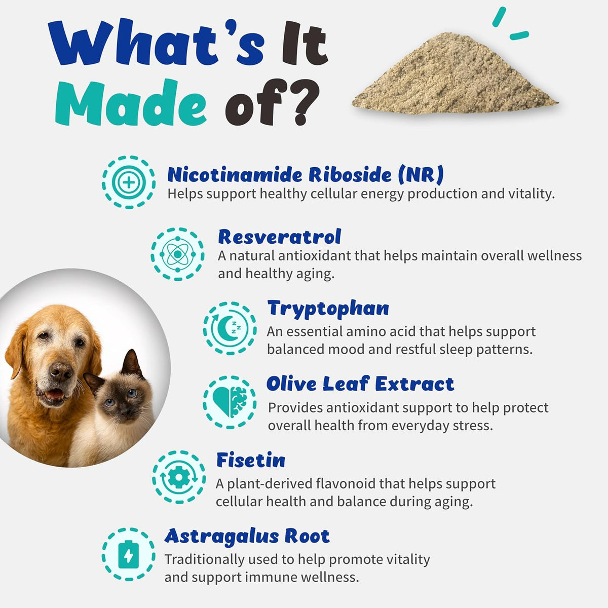 Branvine NAD+ CellVet supplement powder packaging