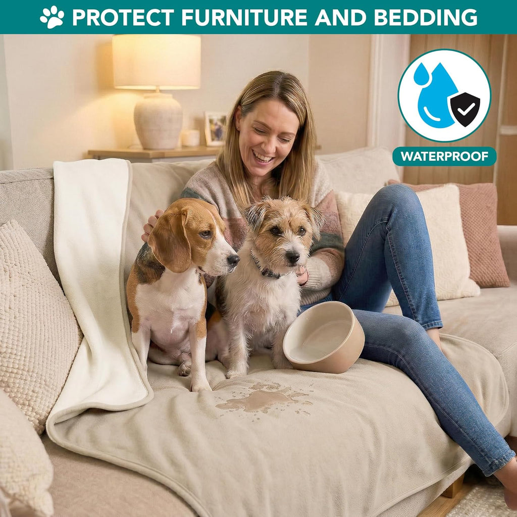 Leakproof puppy blanket protecting a living room couch from liquid spills.