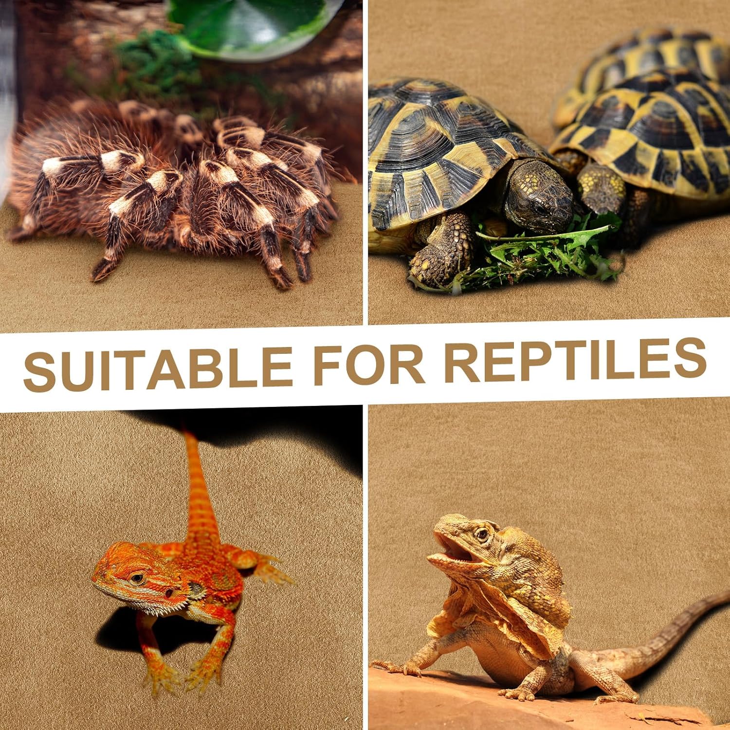 Haull leopard gecko substrate liner forty-seven by twenty-four inch size demonstration.