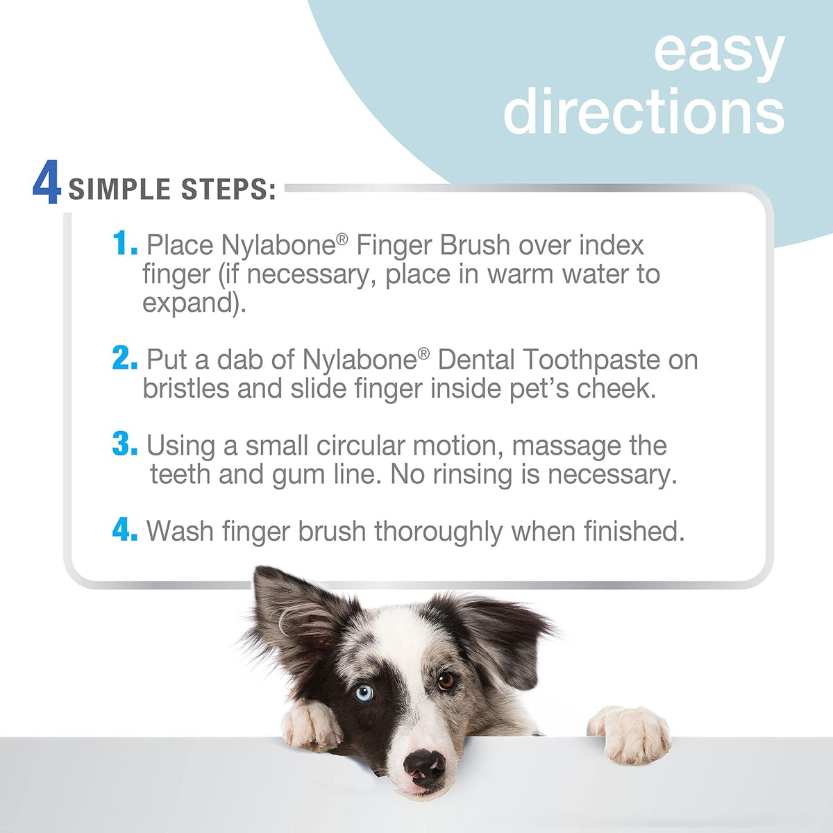 Nylabone Advanced Oral Care Dog Finger Brush soft bristles close up