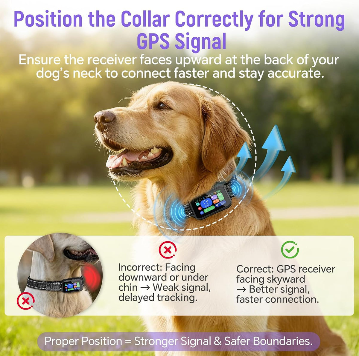 Aweec GPS dog fence boundary comparison illustration showing circular and polygonal yard custom mapping.