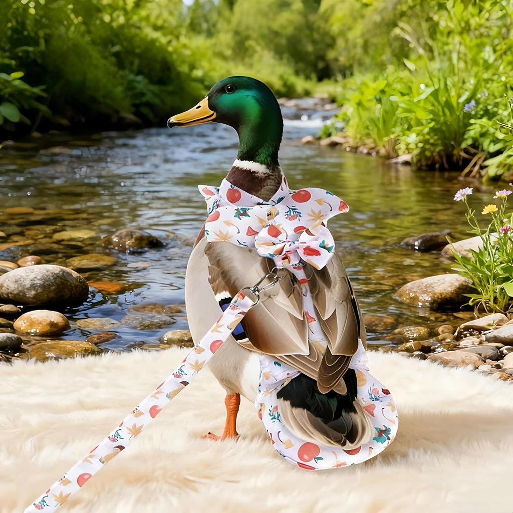 Magnoloran poultry diaper showing adjustable hook and loop fasteners