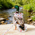 Magnoloran poultry diaper showing adjustable hook and loop fasteners
