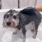 SPOT Clean Paws Chenille Microfiber Dog Towel Mitt - Super Absorbent, Quick-Drying, Washable, Double-Sided Glove for Wet Paws & Body, Durable, Odor-Free, Gently Massages & Dries, 9.5in x 7in - Image 12
