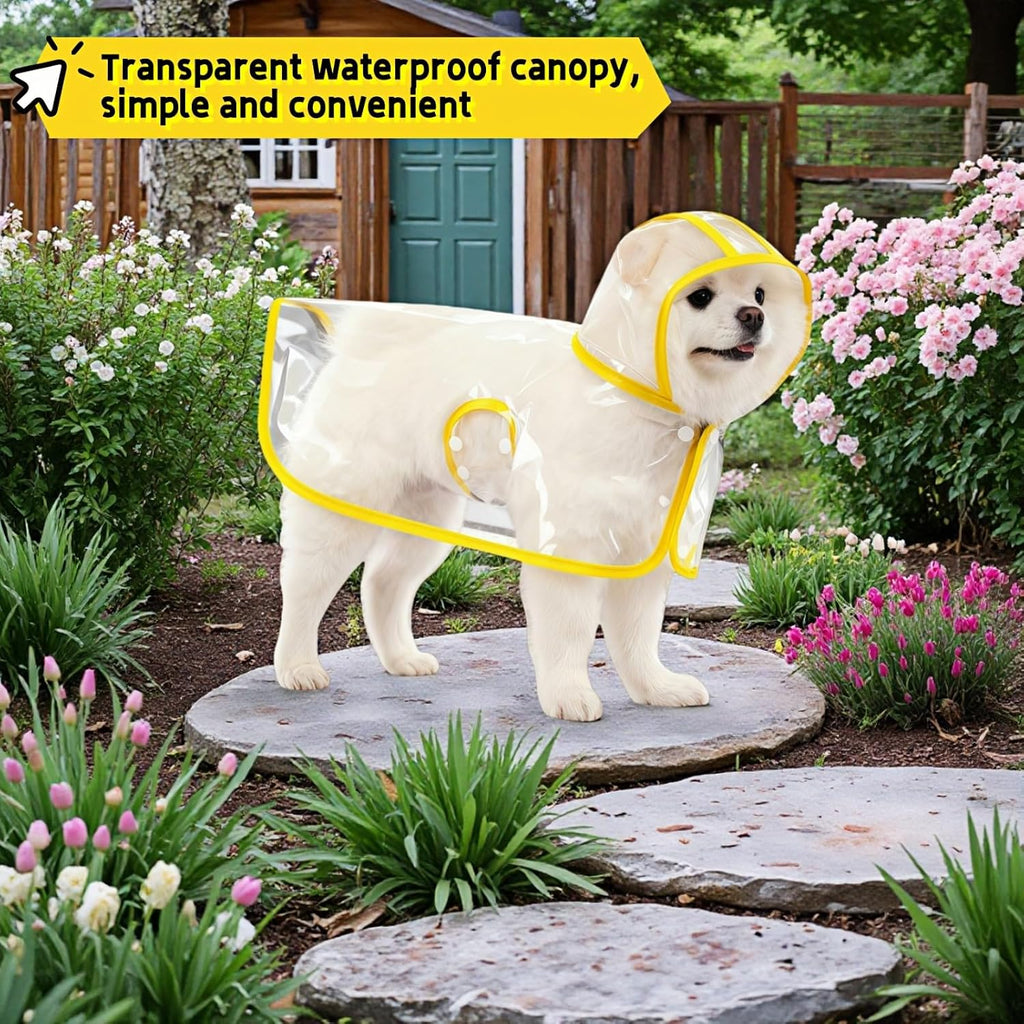 RyanDesign medium clear pet rain coat on small breed dog