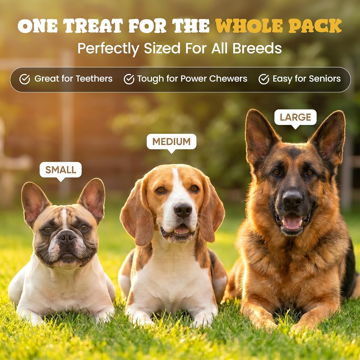 High protein grass fed beef hide chews for pet care