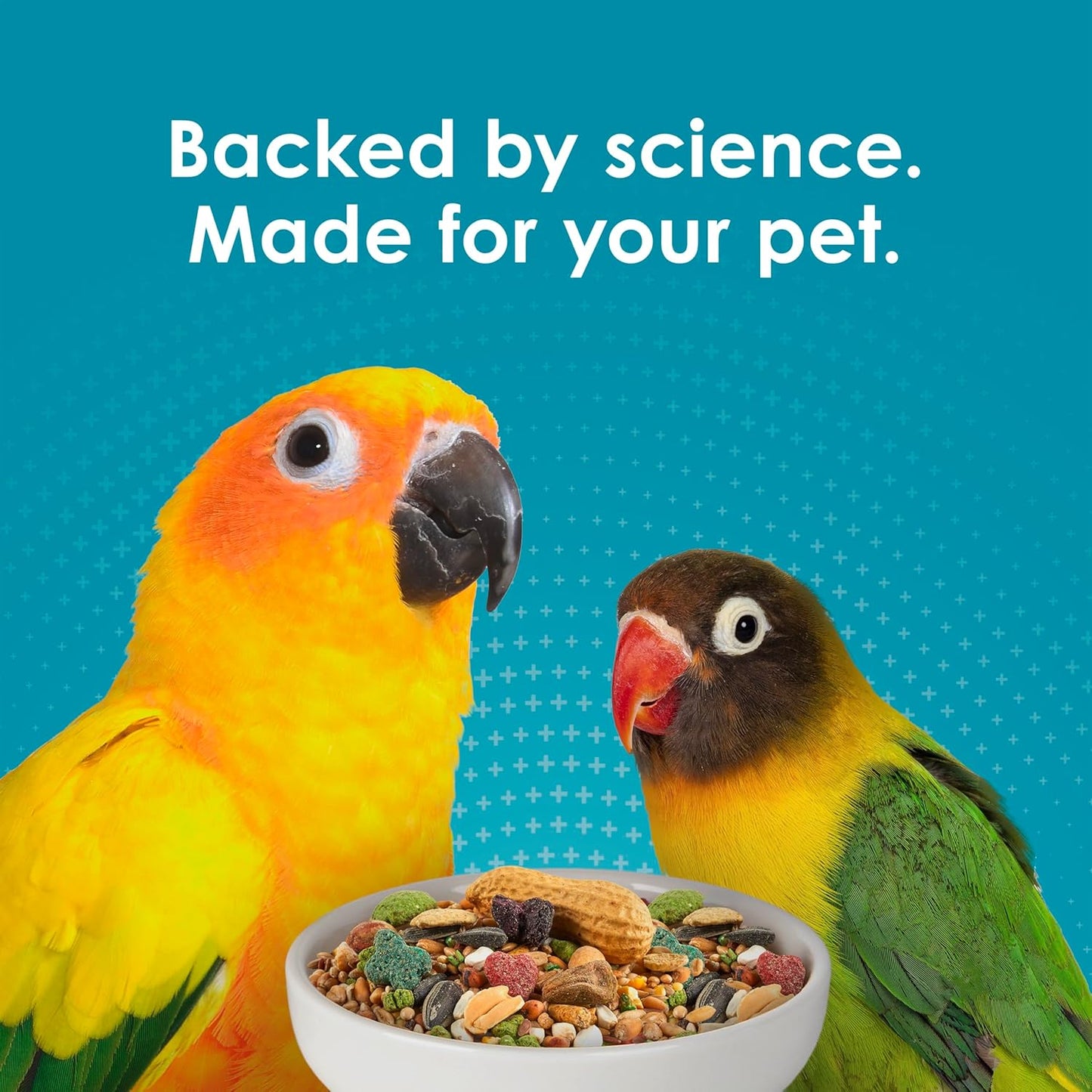 Kaytee Forti-Diet Pro Health Nourish+Protect Conure & Lovebird Food, Comprehensive Nutrition Backed by Science, Digestive Health, Immune Support, 4 pounds - Image 11