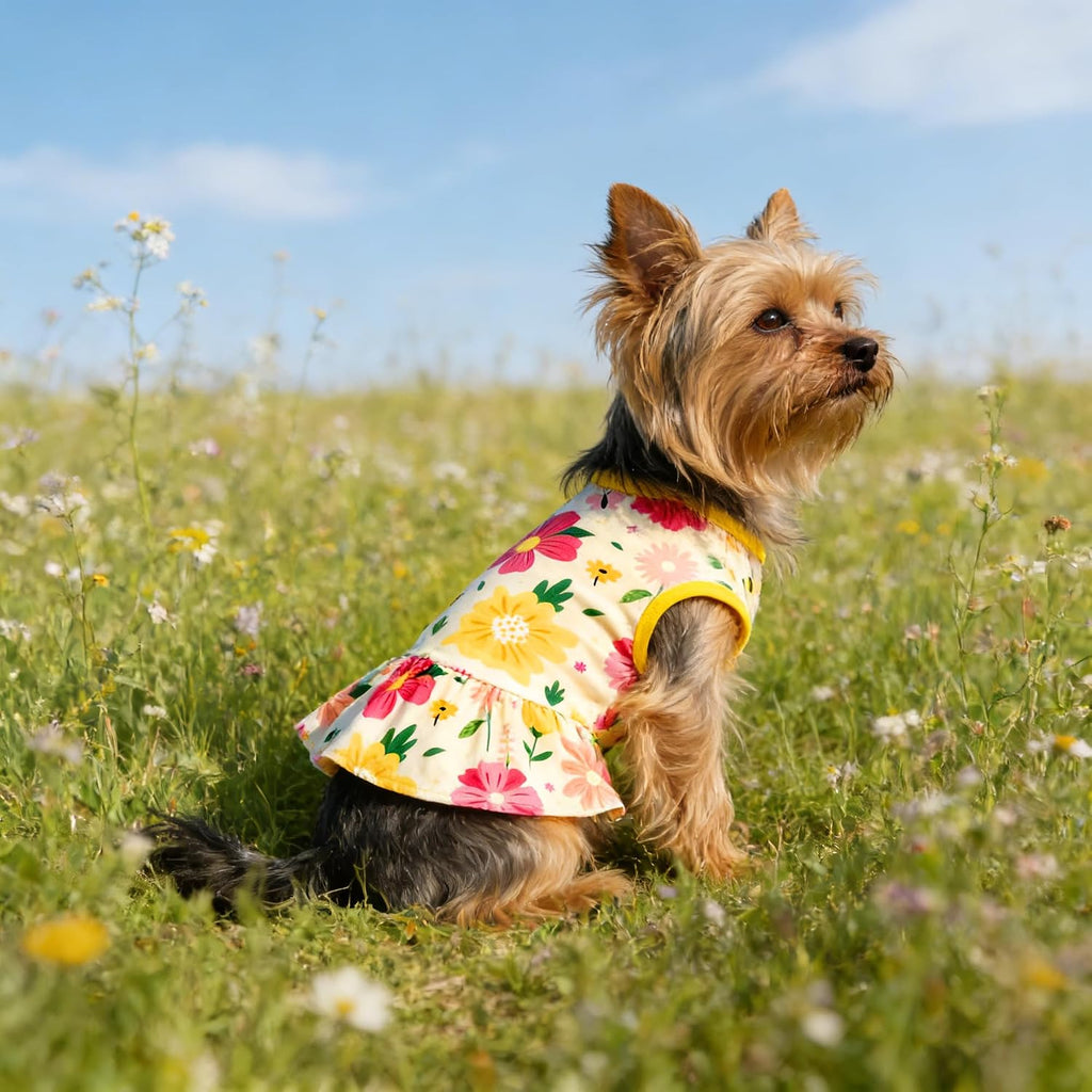 Size extra extra extra large female dog dress laid flat showing sleeveless cut.