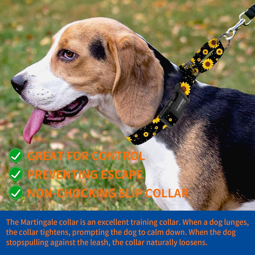 Safety quick release buckle on Kazazoo dog collar