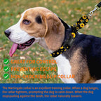 Safety quick release buckle on Kazazoo dog collar