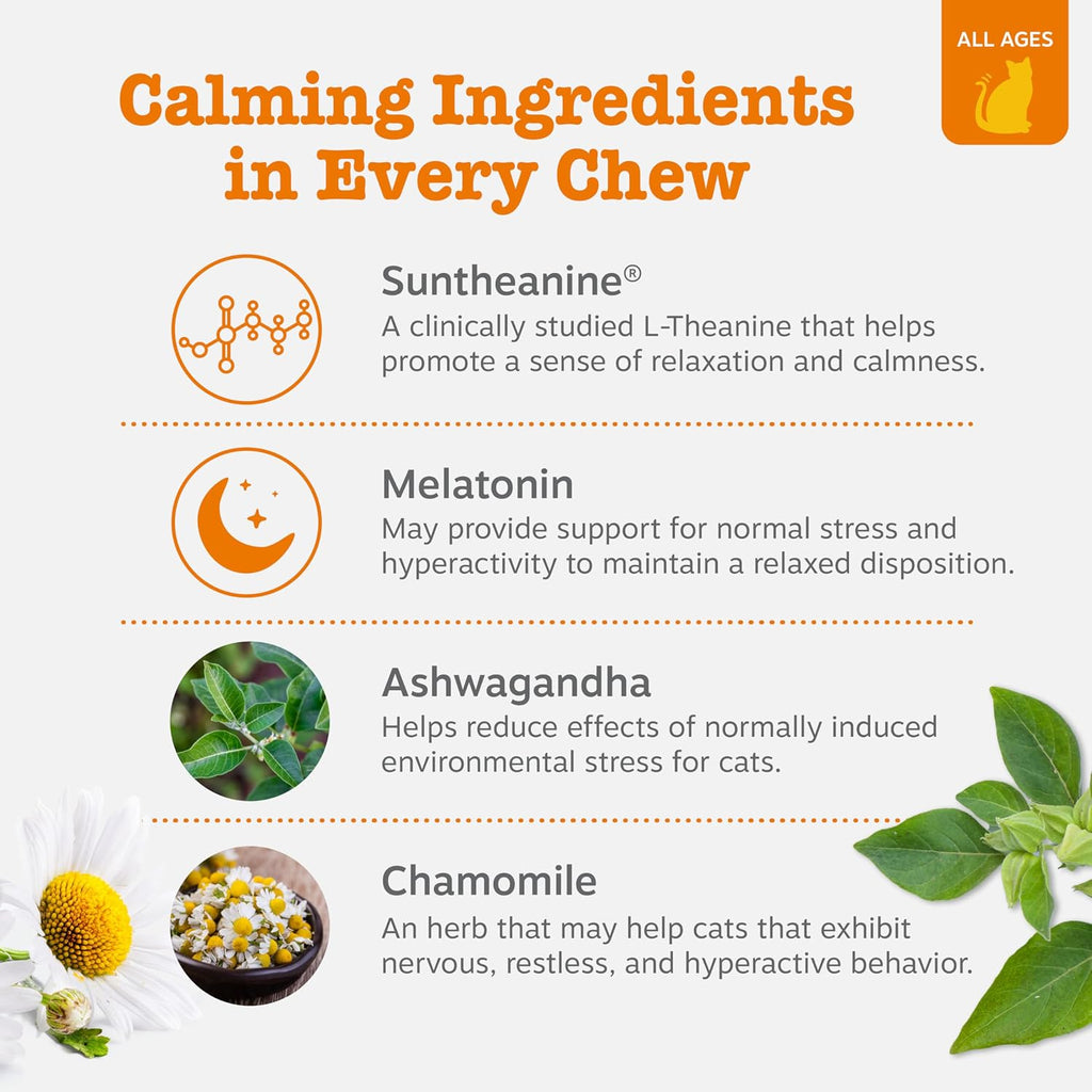 Close up of Zesty Paws cat calming supplement active ingredients list
