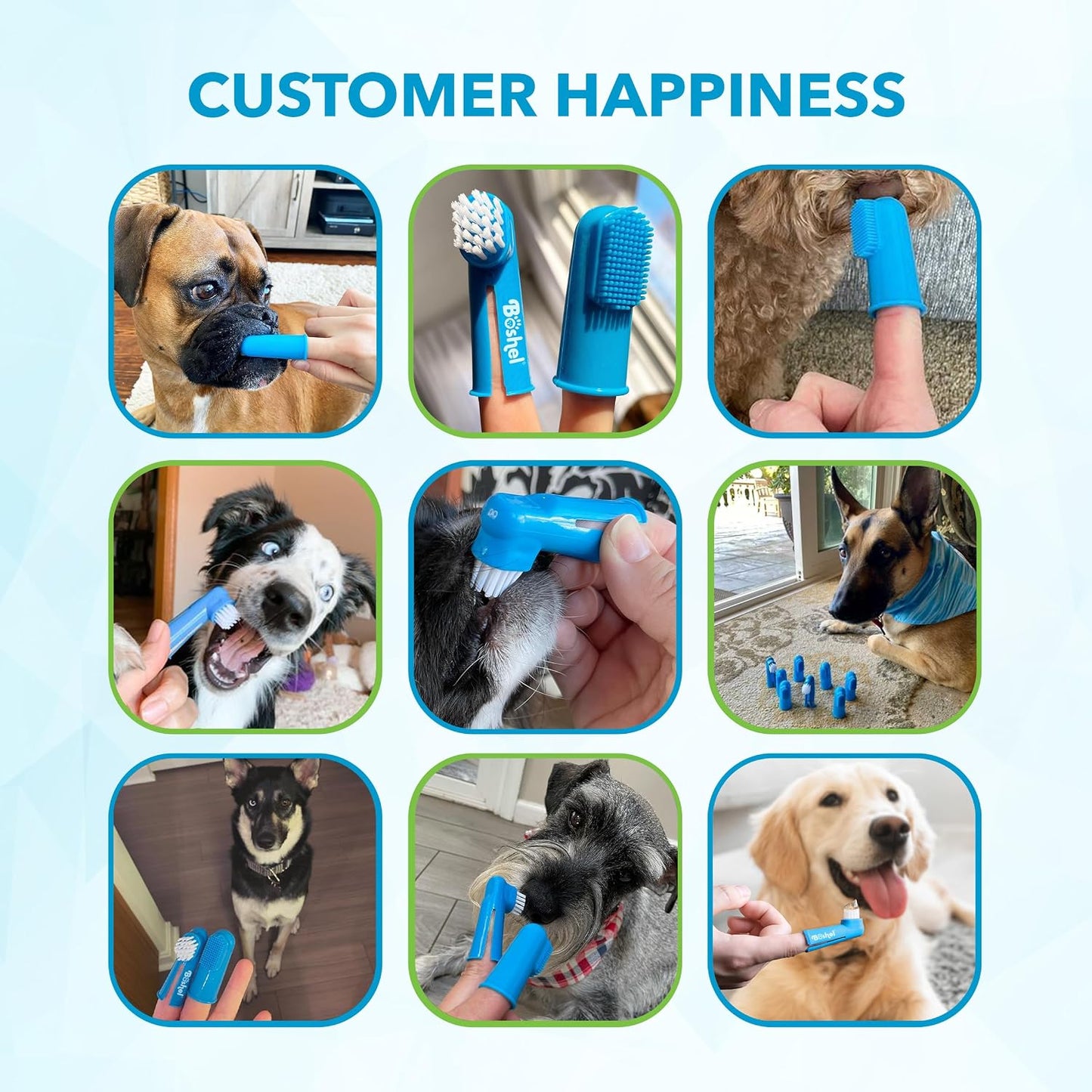 Full contents of Boshel 8 piece pet dental care set