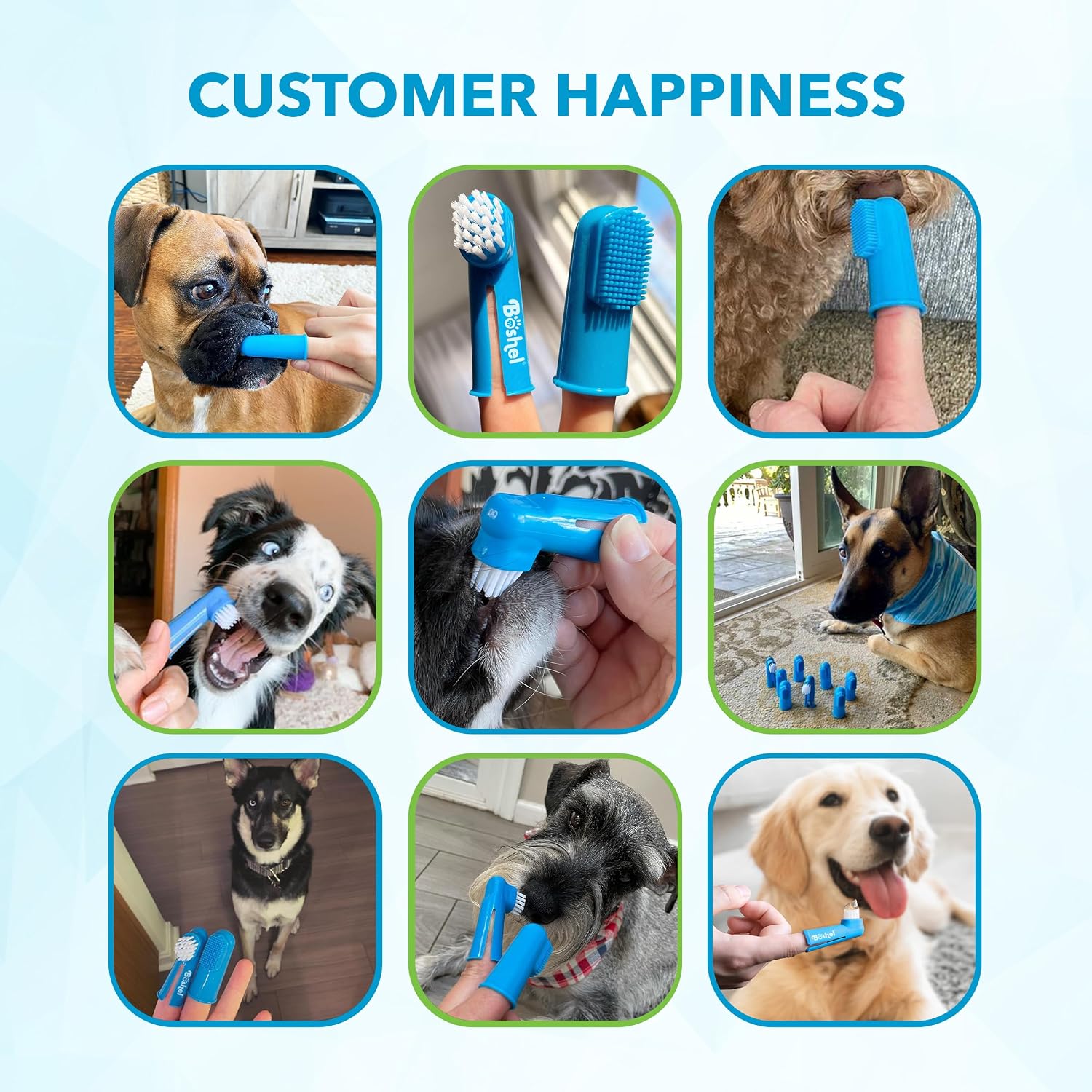 Full contents of Boshel 8 piece pet dental care set