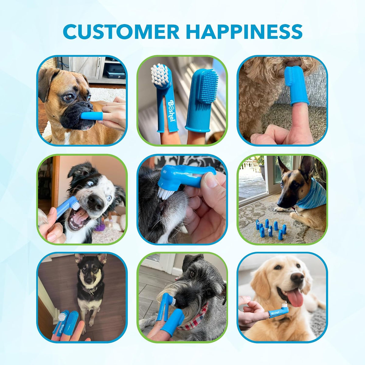 Full contents of Boshel 8 piece pet dental care set