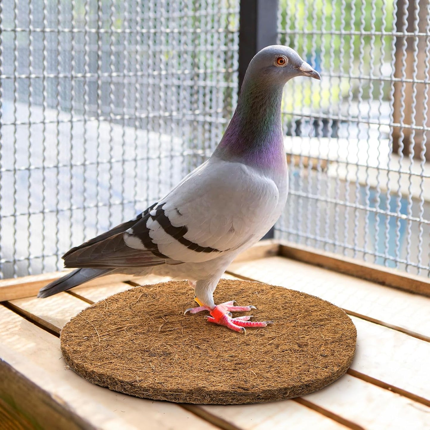 Natural coir nesting material used for small animal habitat