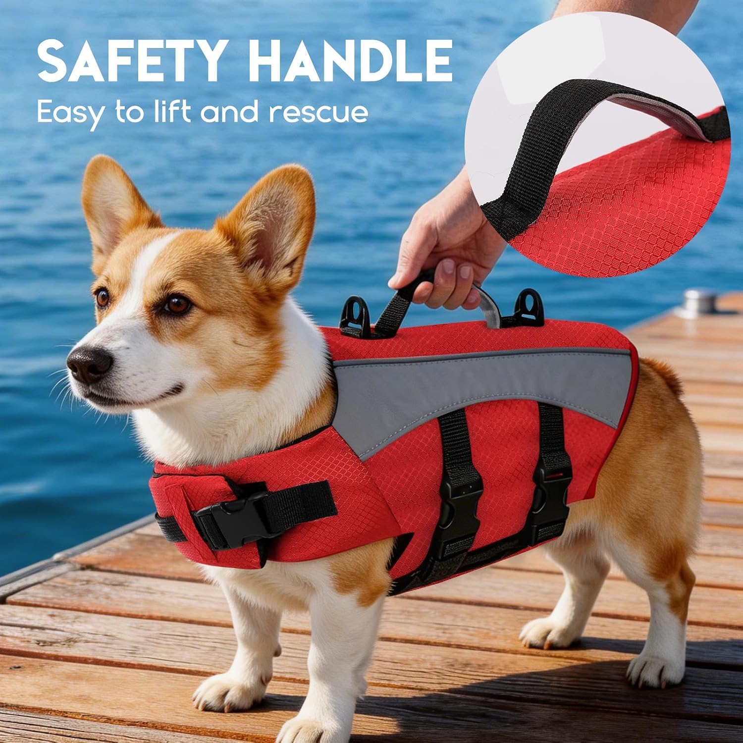 ASENKU water safety dog vest with dual leash attachment D rings
