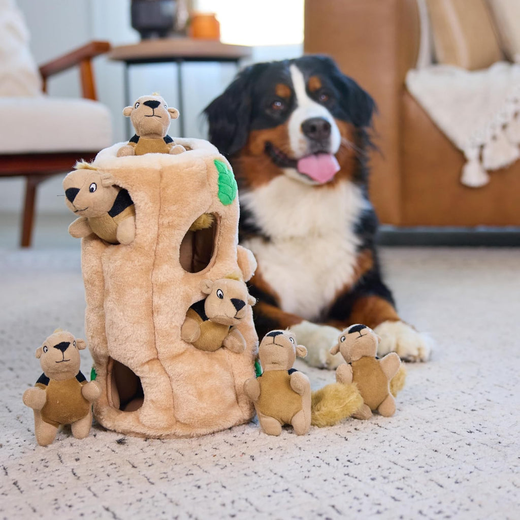 Outward Hound Hide-A-Squirrel Activity Toy Lifestyle View With Dog Extracting Plush Animal