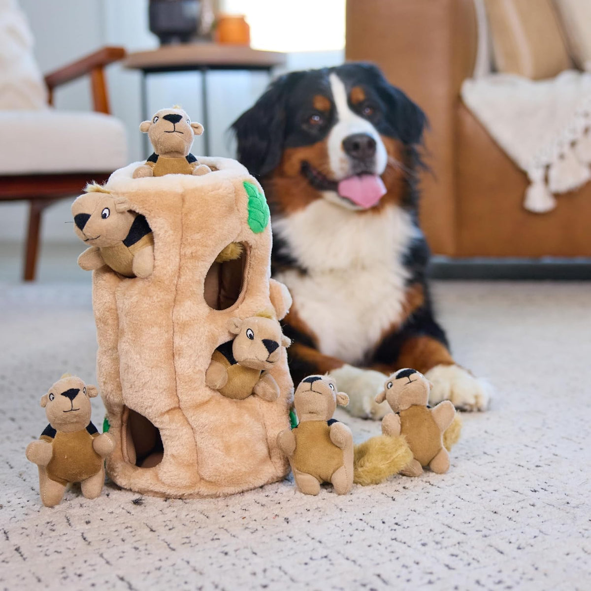 Outward Hound Hide-A-Squirrel Activity Toy Lifestyle View With Dog Extracting Plush Animal