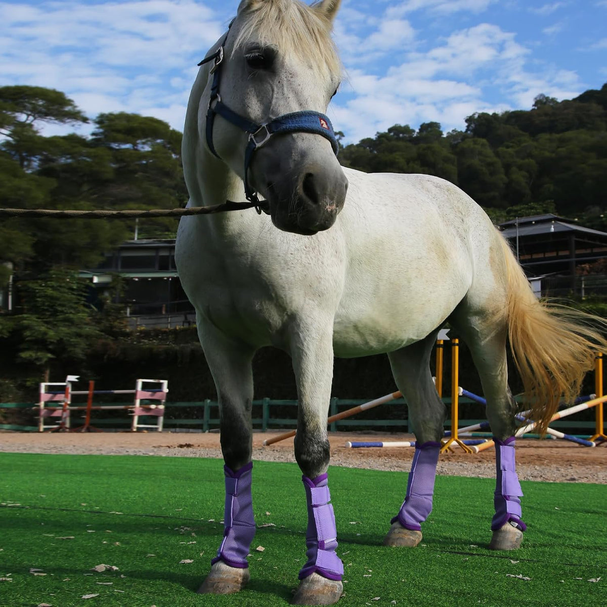 Close up of the airflow fabric on the non slip horse fly boots