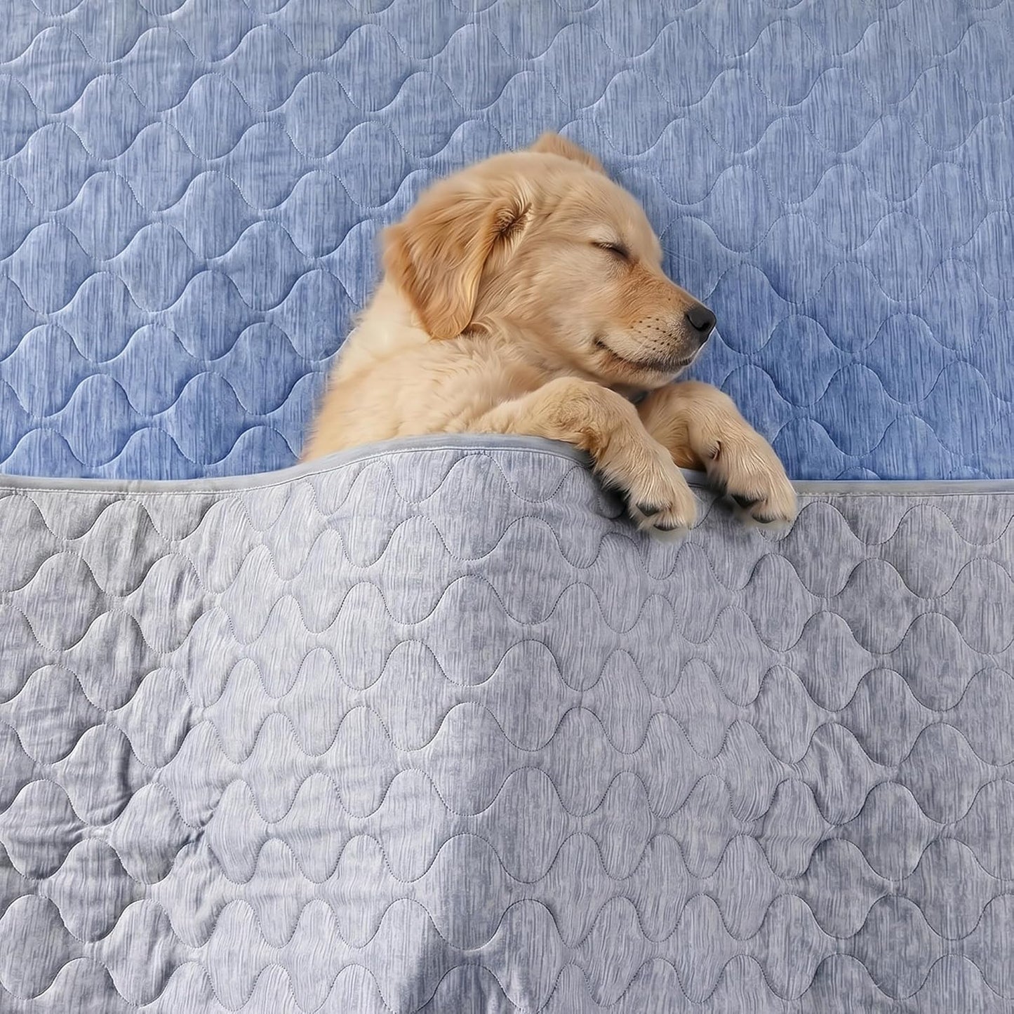 Cozy Bliss dog cooling mat spread over a living room couch for furniture protection.