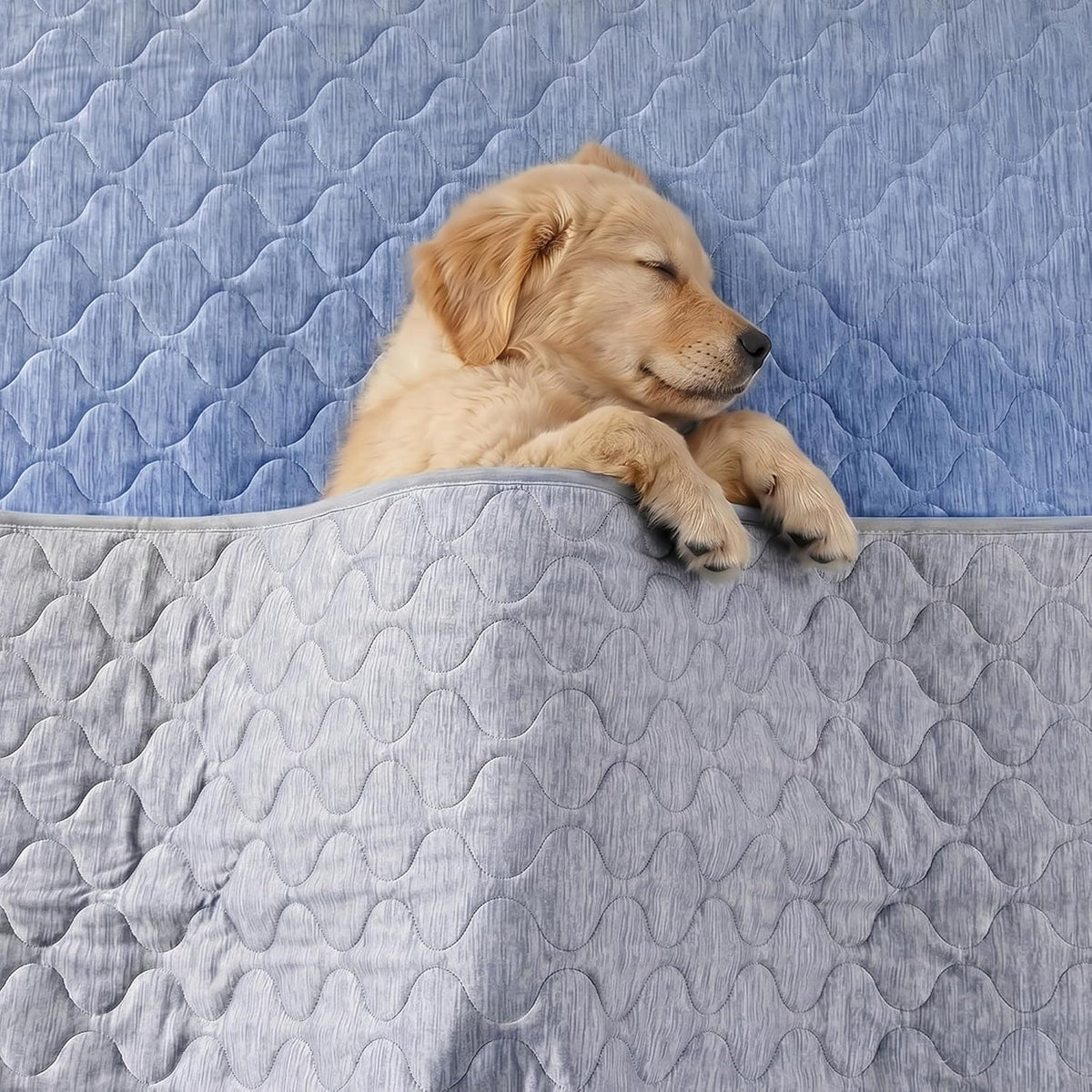 Cozy Bliss dog cooling mat spread over a living room couch for furniture protection.