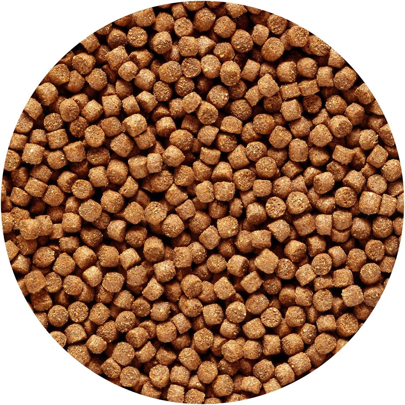 Close up of Hikari sinking mini pellets texture